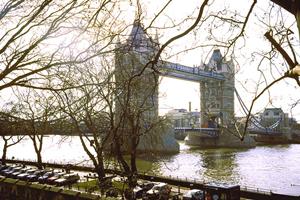 石垣島の自然体験を満喫！現地ガイドと共に楽しむアクティビティ特集