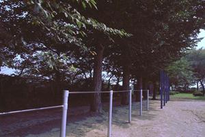 川崎駅から徒歩5分！便利な立地と快適な設備が魅力の【東横INN川崎駅前市役所通】の詳細情報