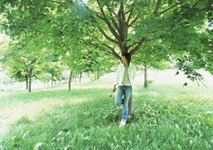 手頃な価格で利用できる日帰りバスツアー