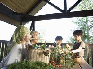 サーフィンスクールの受講料と指名料