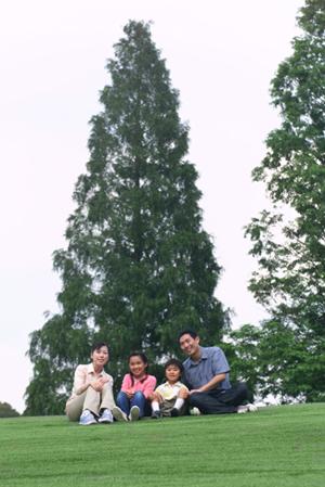 韓国ソウルのビジネス利用から観光まで便利：東横INNソウル東大門2の魅力と詳細情報