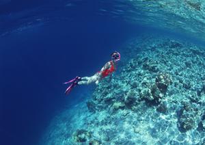 仙台駅から徒歩4分の快適ステイ｜東横INN仙台西口広瀬通の魅力と宿泊情報