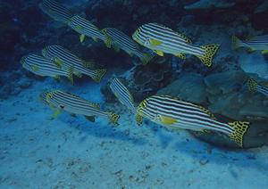 便利な立地と充実のサービス！東横INN品川駅高輪口の魅力と詳細情報