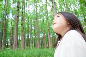 松戸駅から徒歩2分！快適な滞在を実現する東横INN松戸駅東口の魅力と特徴
