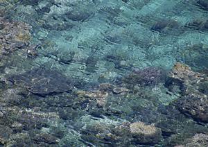 釣り天国伊豆半島へ行くなら伊東へ