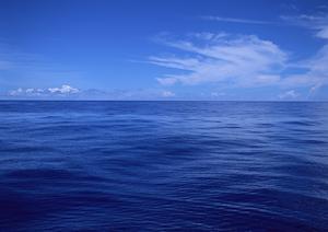 名古屋駅徒歩5分のビジネスホテル【東横INN名古屋駅桜通口本館】の魅力と詳細情報