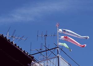 ANAの株主優待を活用した賢い旅行計画！家族で楽しむ特別な体験を手に入れよう