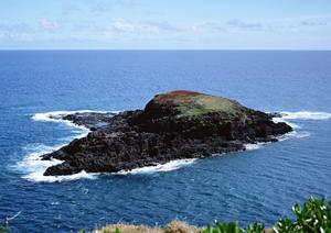 静岡県御殿場市の便利なビジネスホテル【東横INN御殿場駅前】の詳細ガイド