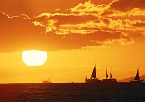 人気の高いノリーズの商品を買おう