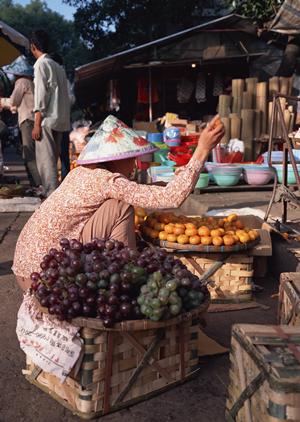 和歌山での船釣りは加太の山田丸の利用も