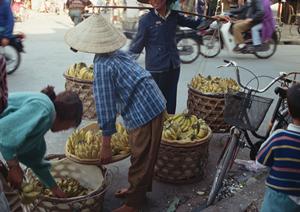 東京の名所を巡ることができる屋形船