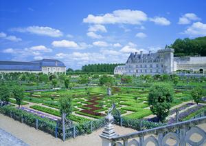 オリジナルの企画で海外旅行を楽しもう