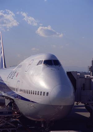 別府温泉 竹と椿のお宿 花べっぷでの贅沢なひととき