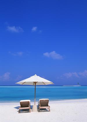 【2024年最新】東横INN徳島駅前の魅力と便利な宿泊ポイント徹底ガイド