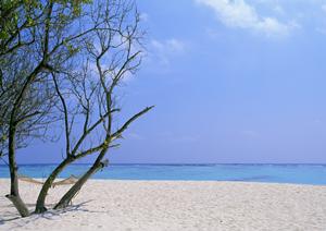 人気観光地にある温泉をご紹介します