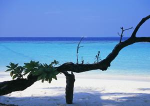 ゴルフ会員権の売買でおすすめです