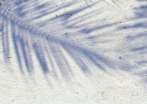 福岡県久留米市のビジネスホテル【東横INN西鉄久留米駅東口】が提供する快適な宿泊体験と便利なアクセス情報