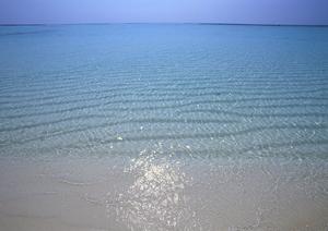 【公式】東横INN小山駅東口2｜栃木県小山市のビジネスホテル完全ガイド