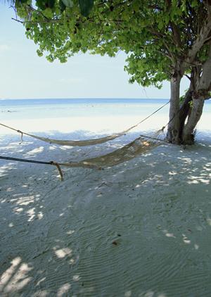別府温泉 竹と椿のお宿 花べっぷでの心温まるひととき