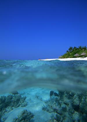 幸せの国ブータン旅行を安心して楽しむ