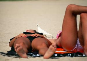 夕日ヶ浦温泉を満喫できる旅館について