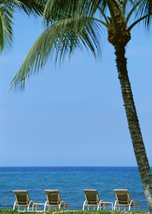 大阪バーベキューレンタルについて